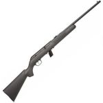 Savage 64F, Semi-automatic, 22LR, 20.25', Blue, Synthetic, Right Hand, 10Rd, Adjustable Sights 40203