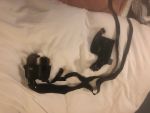 Right handed lc360 shoulder holster with 2 magazine hilder